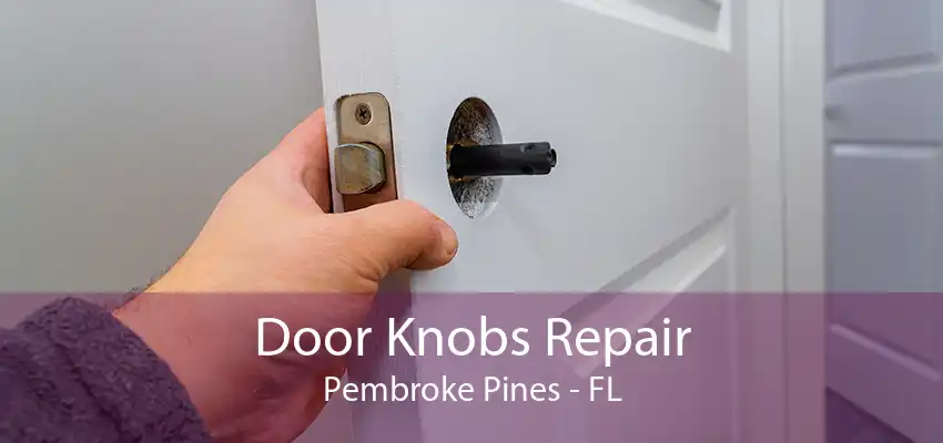 Door Knobs Repair Pembroke Pines - FL